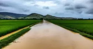 မဒယာမြို့နယ် စီဒောကြီးဆည်မှ ရေစားမှု — ရွာများနှင့် မန္တလေး-မုံရွာလမ်း ရေနစ်မြုပ်