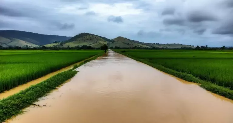 မဒယာမြို့နယ် စီဒောကြီးဆည်မှ ရေစားမှု — ရွာများနှင့် မန္တလေး-မုံရွာလမ်း ရေနစ်မြုပ်