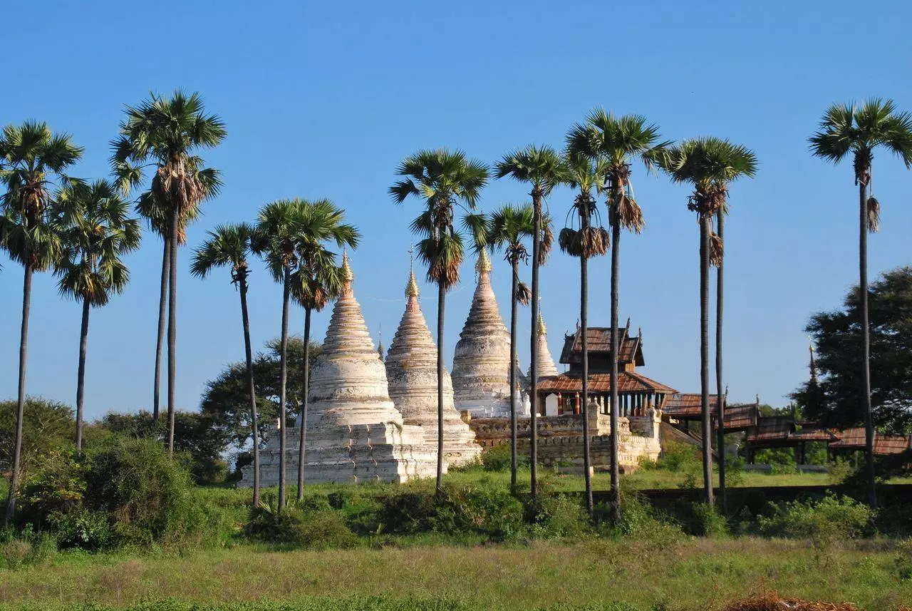 Ancient pagodas surrounded by palm trees representing the Mingun Pahtodawgyi and giant pagoda found on Mandalay day trips
